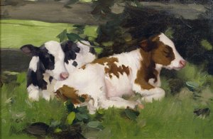 Ayrshire Calves，1890年